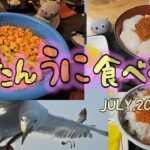 ウニ食べ行こう 積丹半島1日目　#北海道 #積丹 #シニア旅 #ウニ