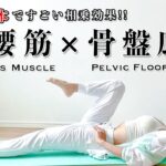 【相乗効果すごい】腸腰筋×骨盤底筋トレーニング14分