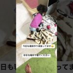 #犬 #シニア #プードル17歳14歳 #我が家の可愛いおばあちゃん犬#夜の寝床作り😄