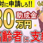 【2024年9月最新情報】政府から高齢者へ80万円支給！申請したらもらえる制度！【敬老パス/年金生活者支援給付金/補聴器購入補助制度】