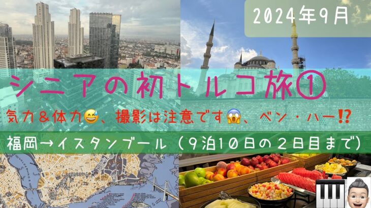 初トルコ１０日間ツアー①市内観光編　シニアの旅行けば＃22