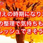 【60代年金生活 : 衣替え】暑さも和らぎ、季節の変わり目を感じる頃となりました。秋冬の装いに切り替える時期です。＃年金生活＃60代#女一人暮らし＃節約＃シニア＃貧乏#年金暮らし#高齢#女ブログ