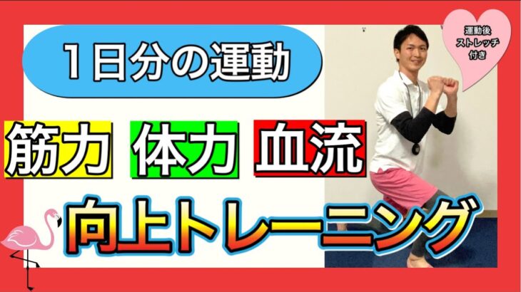 【60−70歳向け】約30分のしっかりトレーニングとクールダウンのストレッチ