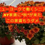 ニューヨークで働くシニア:NY家賃に″秋″が来たこの家賃もうダメ