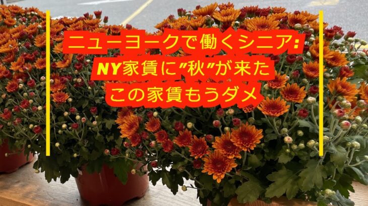 ニューヨークで働くシニア:NY家賃に″秋″が来たこの家賃もうダメ