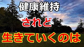 【シニアライフ】のらりくらり年金生活　健康維持されど生きていくって大変だ！【のらりくらり年金生活チャンネル】