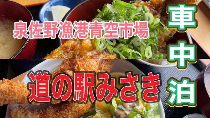 《シニア車中泊旅》大きな穴子丼に海老フライ🍤泉佐野漁港〜道の駅みさき車中泊