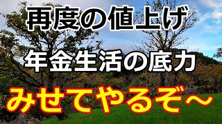 【シニアライフ】のらりくらり年金生活　値上げに負けないぞ！年金生活の底力みせてやる！！   【のらりくらり年金生活チャンネル】