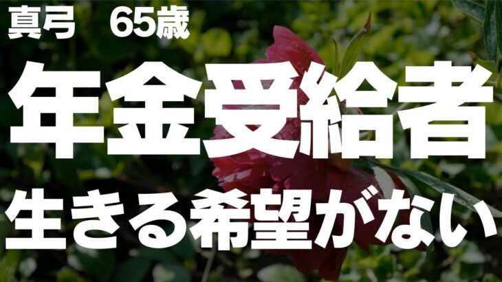 【シニアの夫婦】年金生活　夫の死後、年金受給額を知って生活出来ない