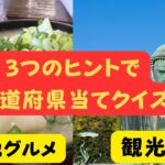 都道府県クイズ【ご当地グルメや観光地から都道府県を当てるクイズです】脳を活性化する、旅行好きのためのボケ防止高齢者向け脳トレクイズ