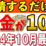 【国が増額支援】もったいない！！申請するだけで年金が10倍増額される制度！申請すれば生涯1000万円以上の差！知らないとマズい年金制度