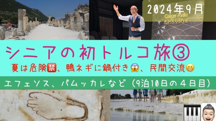 初トルコ１０日間ツアー③エフェソス遺跡など　シニアの旅行けば＃24