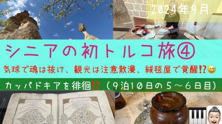 初トルコ１０日間ツアー④カッパドキア観光など（気球ツアー除く）　シニアの旅行けば＃25