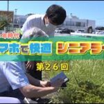 【第26回】スマホで快適シニアライフ