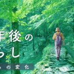 【夫が定年退職2年後】気持ちの変化、暮らしの変化〜60代シニア夫婦の年金暮らし体験談