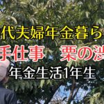 60代シニアライフ | 栗の渋皮煮作り | 税金と保険に苦悩