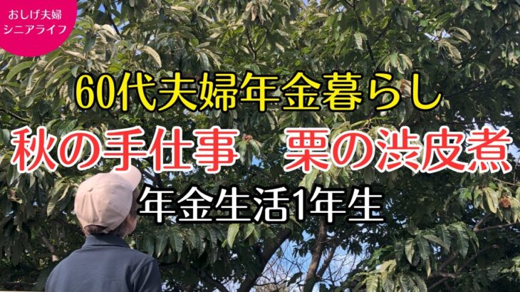 60代シニアライフ | 栗の渋皮煮作り | 税金と保険に苦悩