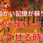 【60代年金生活 : 懐かしい秋の 風景】最近訪れた公園で見た風景は心の奥の懐かしさを呼び起こしました ＃年金生活＃60代#女一人暮らし＃節約＃シニア＃貧乏#年金暮らし#高齢#女ブログ