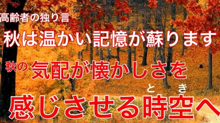 【60代年金生活 : 懐かしい秋の 風景】最近訪れた公園で見た風景は心の奥の懐かしさを呼び起こしました ＃年金生活＃60代#女一人暮らし＃節約＃シニア＃貧乏#年金暮らし#高齢#女ブログ