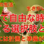 【60代年金生活 : 早期の職場リタイア】自由な時間とストレス軽減をもたらしますが経済的準備やライフプランの見直しが重要＃年金生活＃60代#女一人暮らし＃節約＃シニア＃貧乏#年金暮らし#高齢#女ブログ