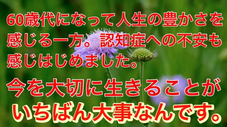 【60代年金生活 : 認知症について】健康や将来に対する不安が増すのは自然です。これらの不安について考えてみました。＃年金生活＃60代#女一人暮らし＃節約＃シニア＃貧乏#年金暮らし#高齢#女ブログ