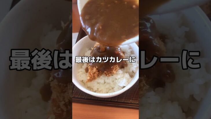 【シニアライフ】60代夫婦の仙台食べ歩き/ とんから亭・志波町店#shorts#food#とんかつ#カレー#シニアvlog