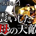 【70代一人暮らし】姑同士の驚愕の戦い！人間関係の複雑さに背筋が凍りました【シニアライフ】