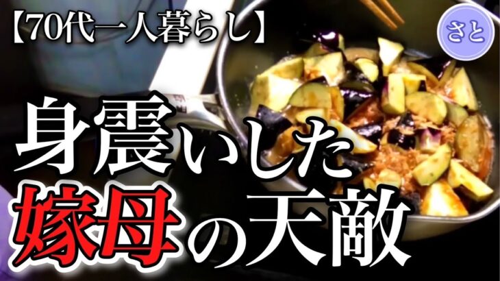 【70代一人暮らし】姑同士の驚愕の戦い！人間関係の複雑さに背筋が凍りました【シニアライフ】