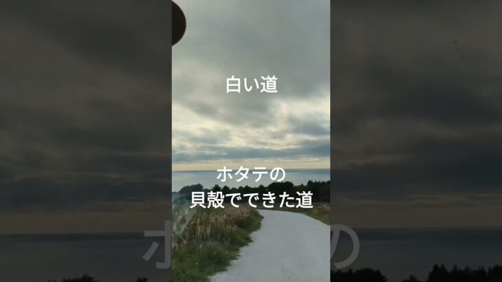 ［鹿児島から北海道シニア夫婦口喧嘩旅]