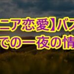 【シニア恋愛】バス旅行での一夜の情事