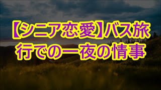 【シニア恋愛】バス旅行での一夜の情事