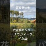 ［鹿児島から北海道シニア夫婦口喧嘩旅]富良野に入りました。