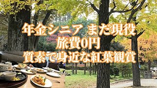 【年金シニア まだ現役】旅費0円 質素で身近な紅葉観賞