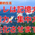 【60代年金生活 : 脳の健康を保つために 】人生を豊かに過ごすためにも、脳をしっかりと鍛える脳トレを無理なく日常生活に＃年金生活＃60代#女一人暮らし＃節約＃シニア＃貧乏#年金暮らし#高齢#女ブログ