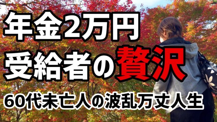 【60代一人暮らし】67歳 年金2万円受給者の贅沢【シニアVlog】