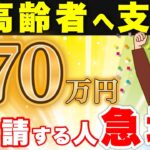 【９割が知らない】高齢者へ70万円支給！政府からもらえる給付金制度！【年金生活者支援給付金/敬老パス/高齢者向け優良賃貸住宅】