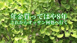 【年金シニア まだ現役】年金貰ってはや8年、これからオッサン何処へ行く