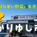 【シニア沖縄移住】かりゆし市場/消し忘れ💦ひと昔前なら大惨事😅〜blog36