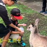 シニアの留学　ケアンズで休日