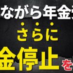 【速報！】提言に賛否｜批判あるのにさらに年金を減らす？（年金制度改革/在職老齢年金）