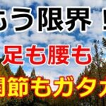 【シニアライフ】のらりくらり年金生活　初めての体験で限界！足も腰も股関節もガタガタ！【のらりくらり年金生活チャンネル】