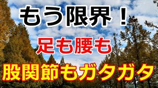 【シニアライフ】のらりくらり年金生活　初めての体験で限界！足も腰も股関節もガタガタ！【のらりくらり年金生活チャンネル】