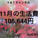 生活費目標10万円#シニア夫婦#年金生活#家計簿集計#行楽費