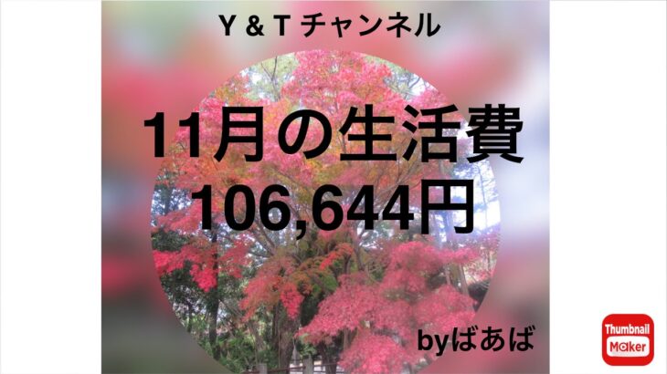 生活費目標10万円#シニア夫婦#年金生活#家計簿集計#行楽費