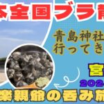 【宮崎食べ歩き】2泊3日宮崎ブラ散歩シニア旅！　サンメッセ日南のモアイ像にちょー感激！！　地鶏や地酒とも出会えた素敵な旅でした！！！