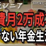 【貧乏シニア】働けない年金暮らしの私が食費月2万円に成功しました【60代未亡人年金暮らし】