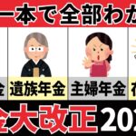 【総まとめ】5年に一度の年金大改正2025年【加給年金・遺族年金・主婦年金106万円の壁・国民年金・在職年金】