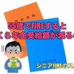 【年金が心配】55歳でFIREすると、いくら年金受給額が減るの?