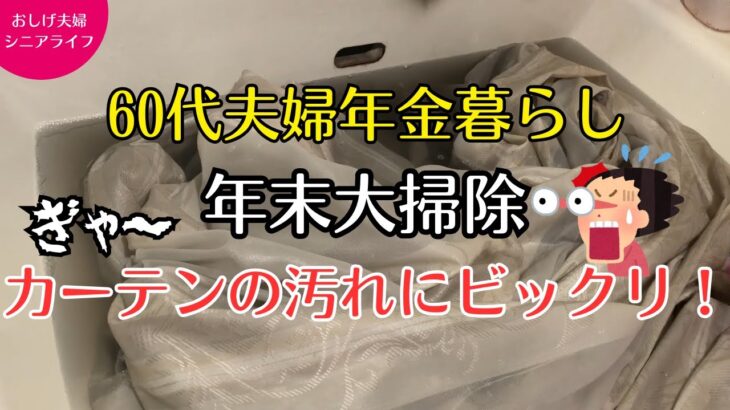 60代シニアライフ | コスモス畑の散歩 | 年末大掃除