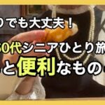 60代ひとり旅1泊2日/自由気ままに横浜・鎌倉・羽田空港/東横インひとりホテル泊/食べる観る歩く/シニアライフ